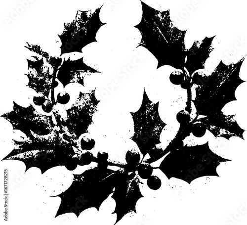 Grunge black and white christmas holly illustration for festive design