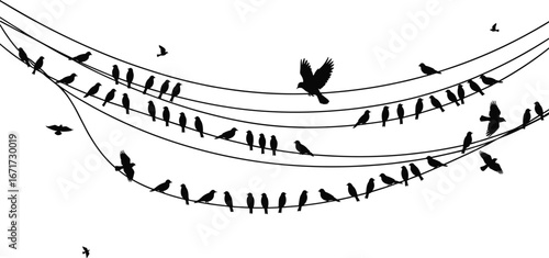 Bird silhouettes on electric wires, perched sparrows, flying flock clipart, black vector design, nature wildlife illustration, decorative perched birds silhouette