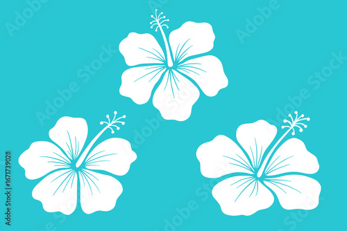 Hibiscus flower vector silhouette, floral illustration, summer hawaiian plant