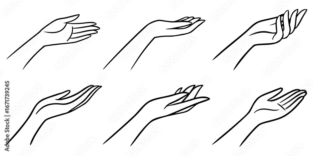 Elegant collection of diverse hand gestures showcasing open palms and delicate fingers, perfect for design elements Elegant collection of diverse hand gestures showcasing open palms and delicate fingers, perfect for design elements