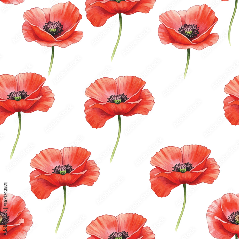 Obraz premium Adobe Illustrator Artwork