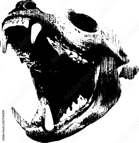 Grunge black and white hyena skull illustration for urban design and decor