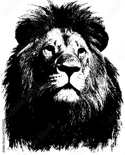 Grunge black and white lion illustration for urban art and design