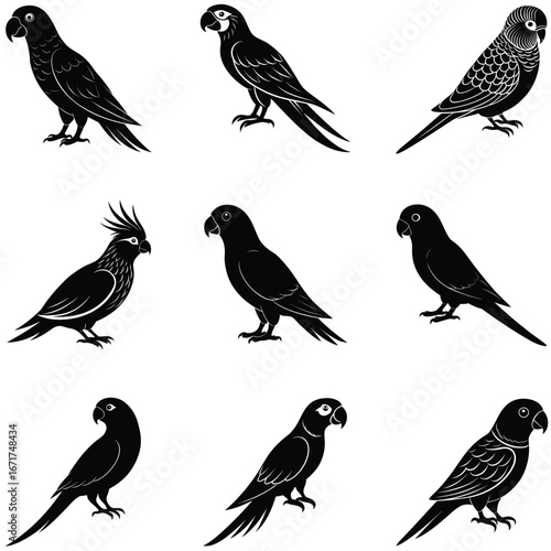 Illustration of Nine Different Species of Parrots in Black Silhouettes on a White Background