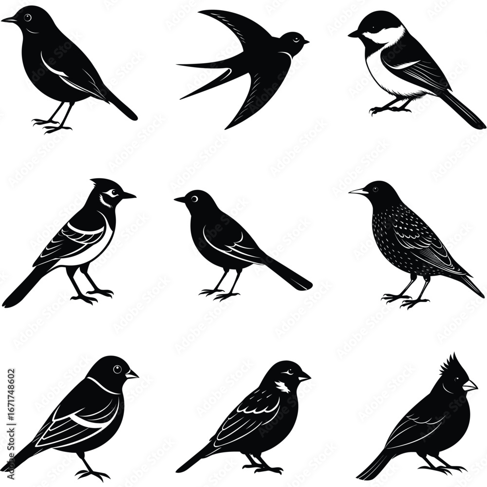 Fototapeta premium Nine Silhouette Bird Illustrations Songbird, Swallow, Chickadee, Magpie, Starling, Finch and Cardinal Graphics