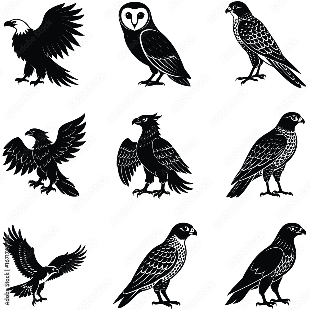 Obraz premium Black and White Illustration Featuring Nine Different Bird of Prey Silhouettes