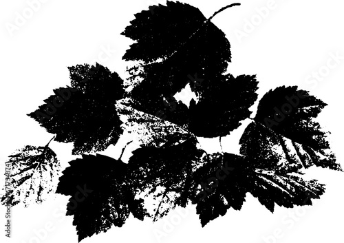 Grunge black and white illustration of distressed leaf pile for urban design