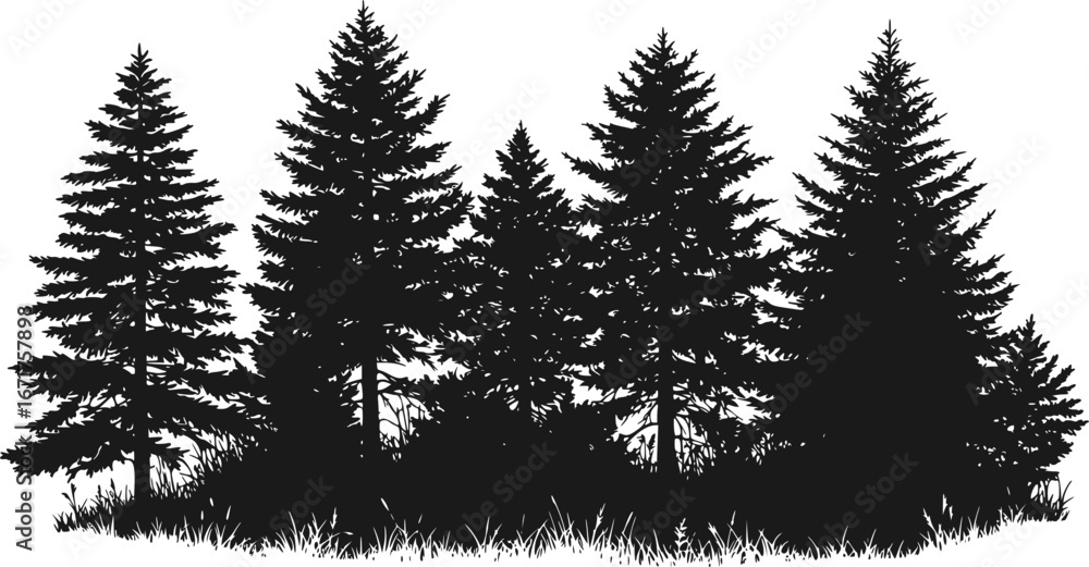 Fototapeta premium Overgrown patch. Coniferous forest with firs and pines. Landscape with trees and grass. Silhouette picture. Isolated on white background. Vector. 
