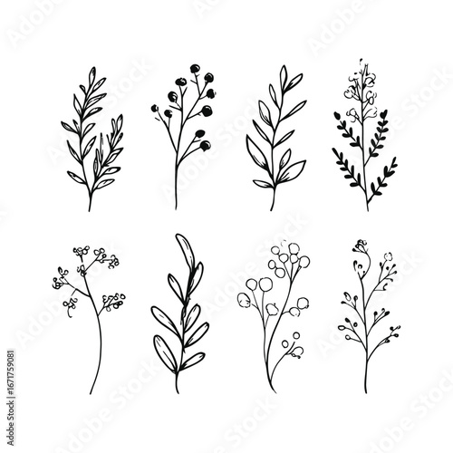 Illustration of eight different hand drawn botanical elements with leaves and berries in black and white