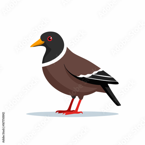 Standing Myna Bird Illustration Showing Brown Plumage Red Legs and Yellow Beak on a White Background Birdwatching Ornithology