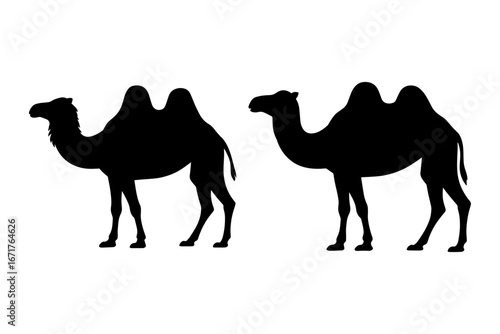 Silhouette of camels, symbol of desert travel