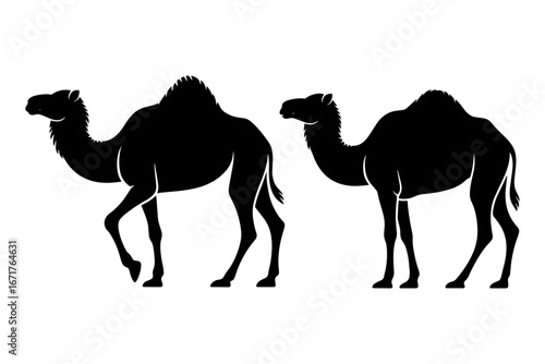 Silhouette of camels, symbol of desert travel