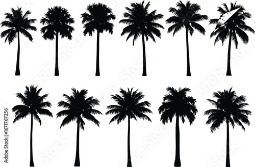 Palm tree silhouettes vector, tropical tree design, coconut palm illustration, exotic island paradise, beach vacation graphic, summer holiday decoration symbol