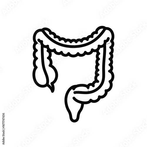 Human Digestive System Diagram