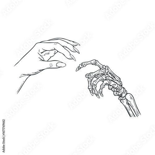 Connection between human hand and skeletal hand in artful design. Halloween vector illustration