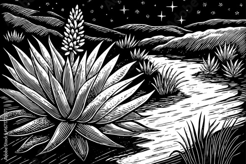 Agave cactus beside desert oasis stream, clear water surrounded by glowing plants and starry sky, magical wilderness, black and white sketch