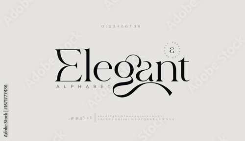 Elegant luxury alphabet letters font and number. Classic Lettering Minimal Fashion Designs. Typography fonts regular uppercase and lowercase. vector illustration
