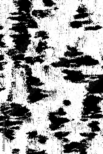 Wallpaper Mural Grunge black and white rust texture for urban art and design projects Torontodigital.ca