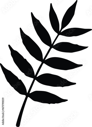 Vector botanical fern frond branch simple silhouette Illustrator