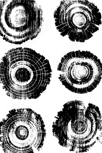 Grunge black and white tree rings sketch for rustic design projects