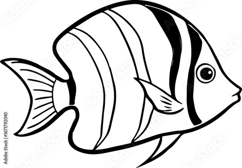 emperor angelfish outline vector illustration line art