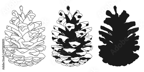 Conifer Pine Fir Tree Cone Outline Silhouette