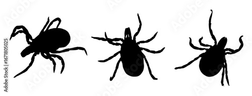 Servof tick silhouette, black insect - vector illustration