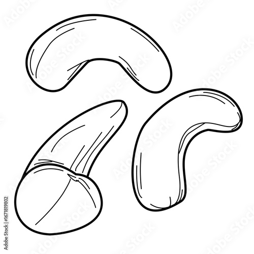 Hand-drawn outline cashew nuts illustration, organic food sketch.