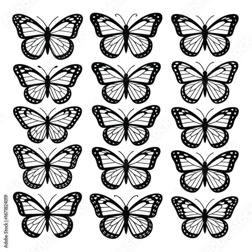 Fifteen Black and White Monarch Butterfly Silhouettes on White Background insect flying
