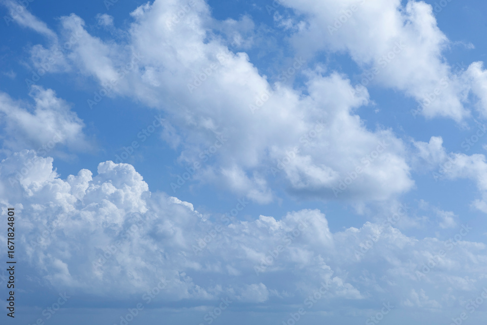 Naklejka premium High above, the bright blue sky is adorned with a scattered collection of soft, white cumulus clouds.