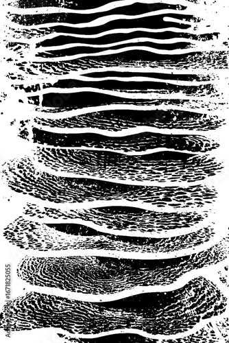 Abstract grunge black and white sea sponge texture for artistic design