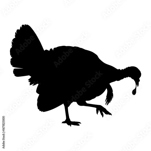 Turkey Silhouette Vector Illustration , Animal Silhouette Element