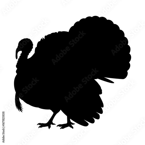 Turkey Silhouette Vector Illustration , Animal Silhouette Element