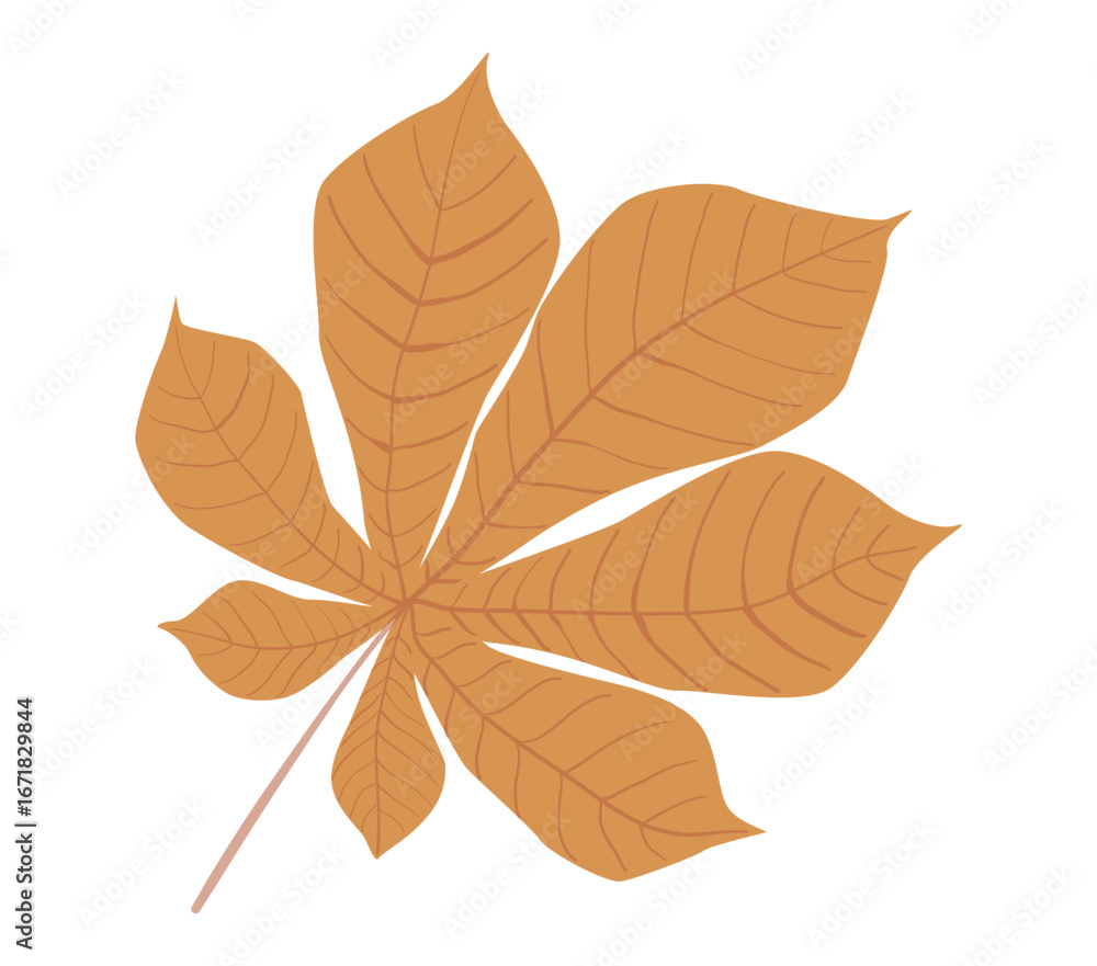 Naklejka premium Autumn leaf from Simple fall leaf Flat vector illustration on white background