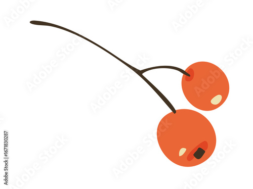 Hand drawn rowan tree. Rowan berries. Red, orange berries. Autumn forest, fruits of trees. Cute autumn greeting card. For decoration of children's room, wallpaper, paper. Vector illustration