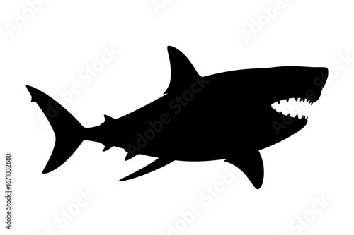 Shark Silhouette Vector Illustration , Animal Silhouette Vector