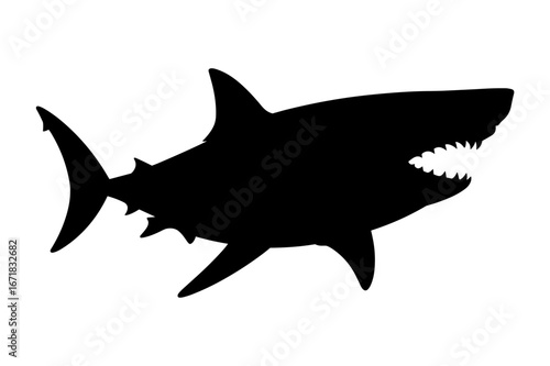 Shark Silhouette Vector Illustration , Animal Silhouette Vector