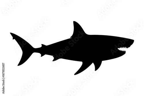 Shark Silhouette Vector Illustration , Animal Silhouette Vector