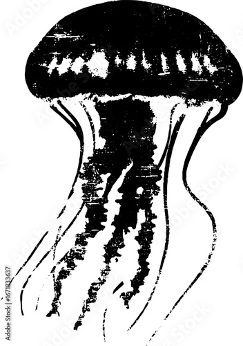 Grunge black and white jellyfish x-ray style for artistic design and decor