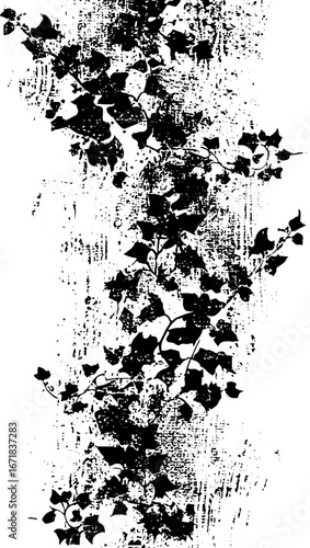 Wallpaper Mural High contrast black and white stencil of ivy vines for artistic design Torontodigital.ca