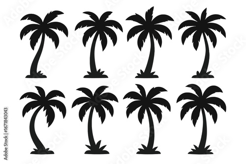 Set of black palm tree silhouettes. Vector collection of isolated tropical coconut trees for summer beach design. Exotic island nature symbol. Modern flat cartoon style graphic.