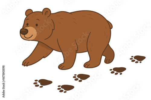Cute cartoon brown bear walking, leaving paw prints. Wildlife tracking concept. Friendly grizzly character vector illustration isolated on transparent background for nature design.