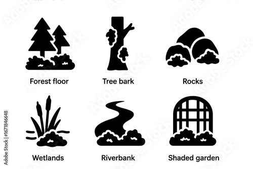 Moss Habitats Icons Vector Set, Solid Filled Symbols Featuring Forest Floor, Tree Bark, Rocks, Wetlands, Riverbank, Shaded Garden Environments, Nature and Ecology Illustration
