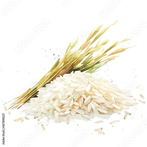 A hand-drawn illustration watercolor-style painting of basmati rice in a soft watercolor style, artistic, isolated on a white background, painted design, EPS format, featuring delicate brush strokes