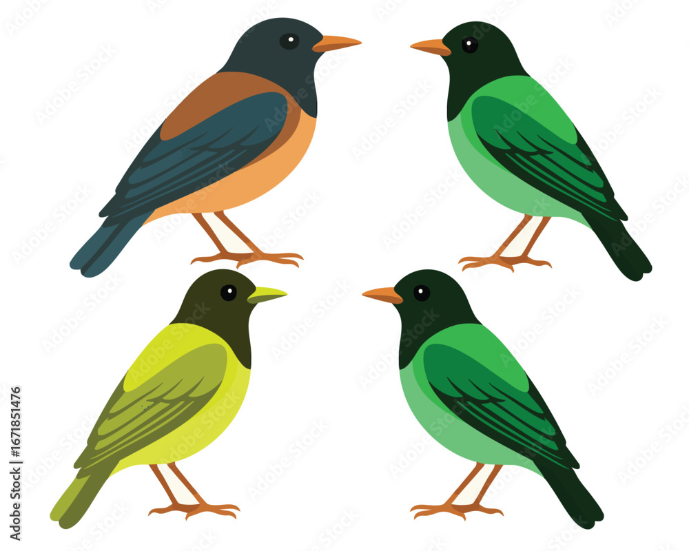 Fototapeta premium Birds