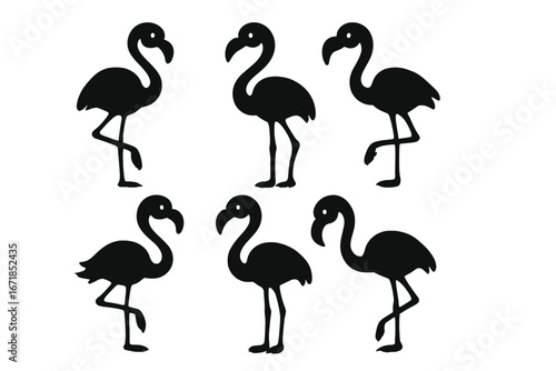 Set of black flamingo silhouettes in different poses. Minimalist vector cartoon icon collection. Tropical exotic bird animal graphic element for design. Simple flat illustration.