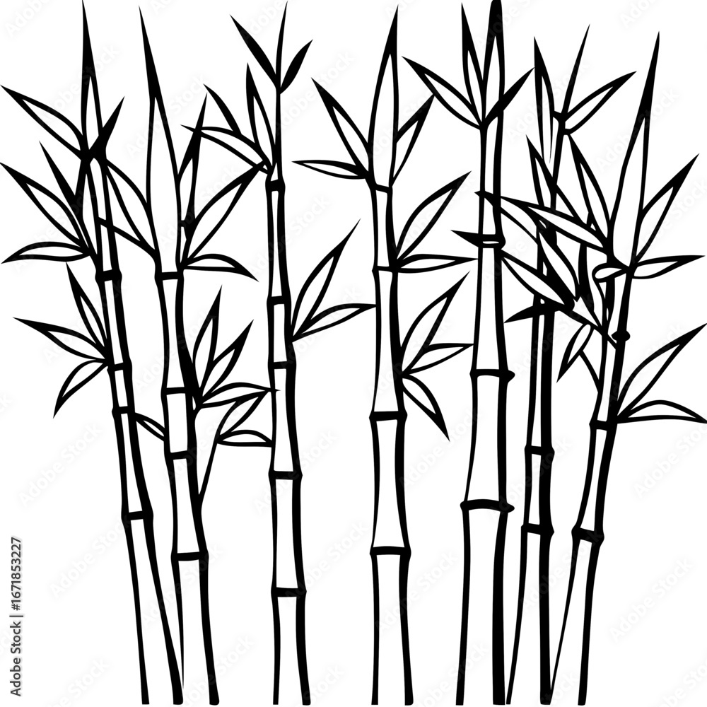 Obraz premium bamboo vector illustration