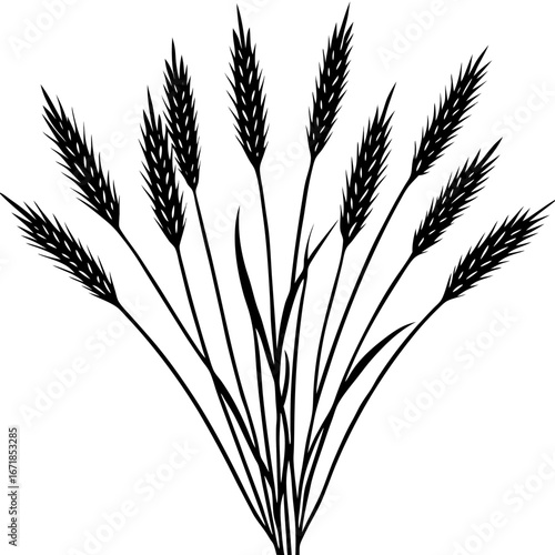 ears of wheat