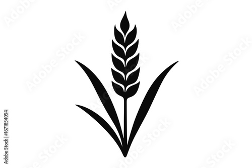 Wheat ear icon. Black silhouette of a wheat stalk. Agriculture symbol for farm, harvest, and grain. Vector logo for bakery, bread, food, and cereal. Gluten sign. Spikelet.
