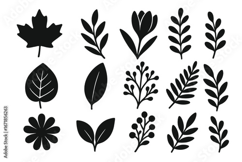 Nature floral silhouette icon set. Botanical and foliage elements. Black graphic leaves, flowers, branches, and berries. Minimalist plant shapes for logo design. Vector isolated.
